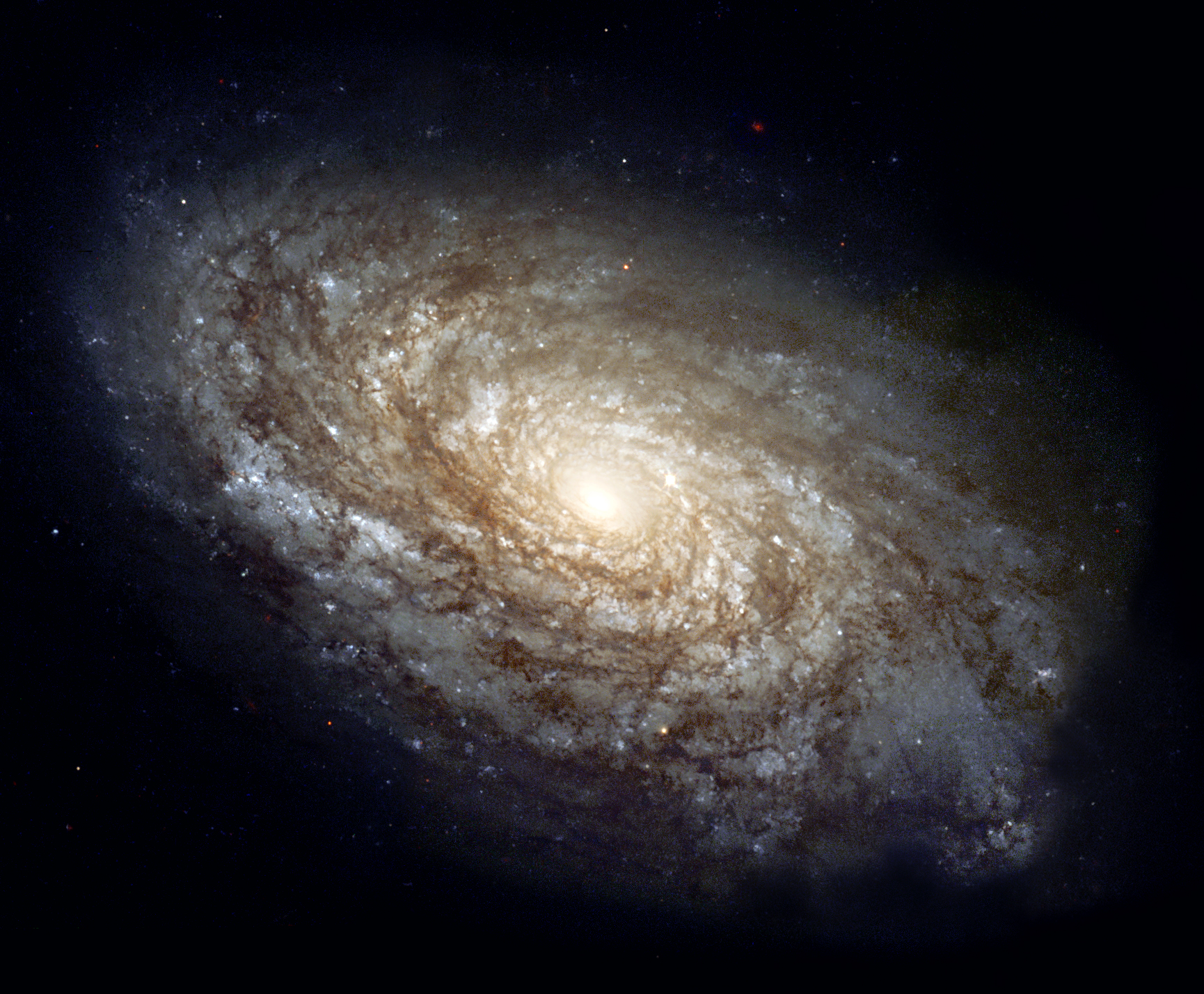 particle3