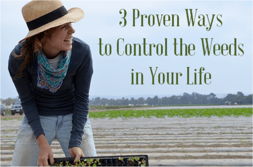 3 PROVEN WAYS TO CONTROL THE WEEDS IN YOUR LIFE
