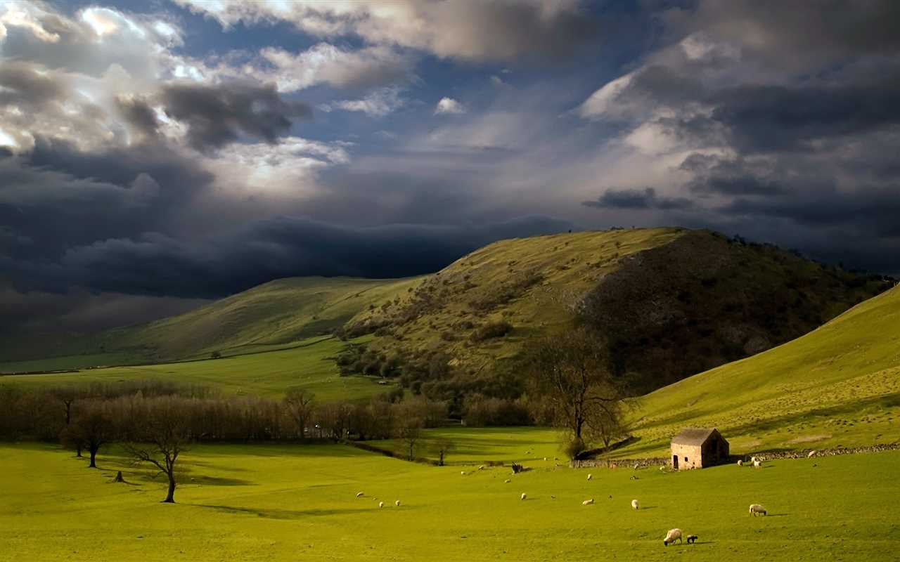 green-pastures