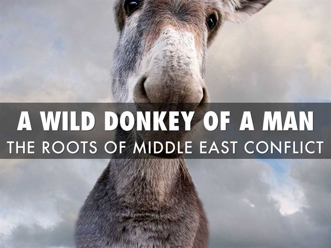 Middle East Conflict: The Root
