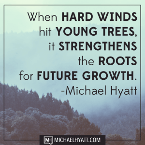 hard-winds-young-trees