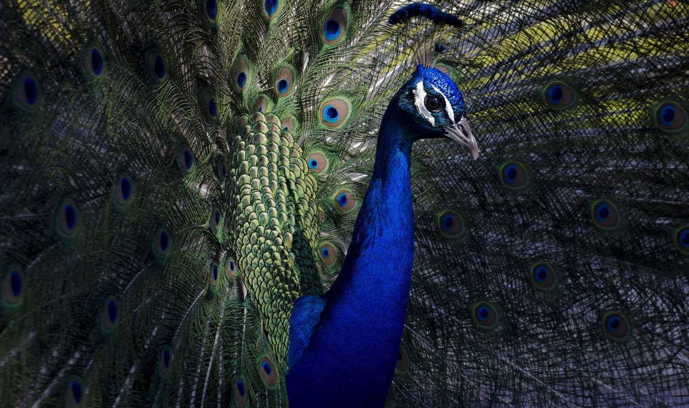 stunning images11
